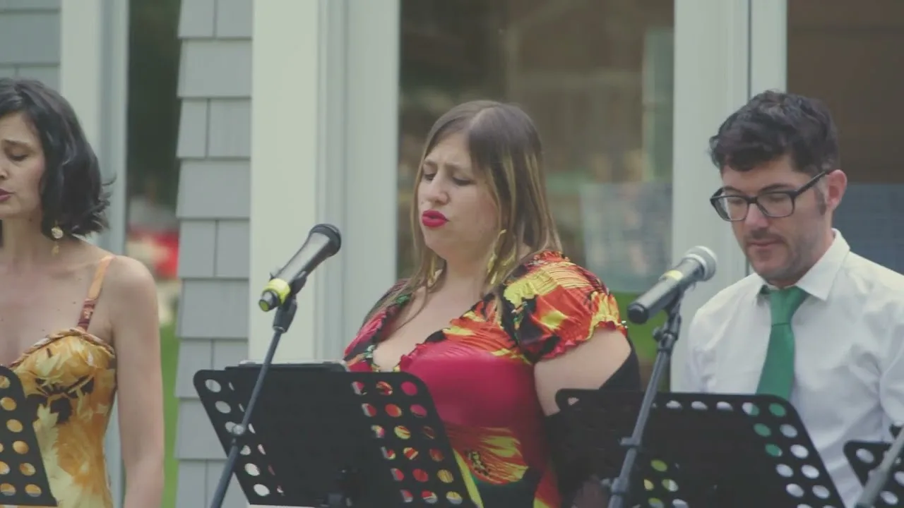 Play: Opera at Home, a private concert on Long Island